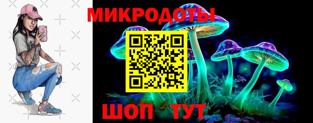 Псилоцибиновые грибы мицелий Кисловодск